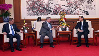 Chinese state councilor meets Brunei's seniro officials