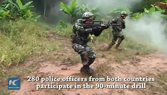 China, Laos police hold first joint anti-terror drill