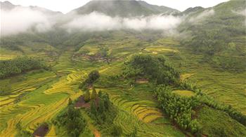 In pics: Terraces in Houyuan Village, SE China