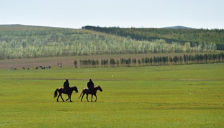 In pics: grassland of Hulun Buir in north China's Inner Mongolia