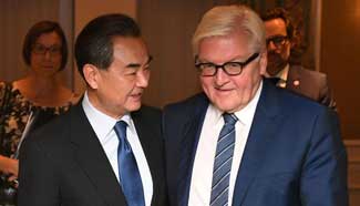 Beijing ready to coordinate with Berlin on trade: Chinese FM