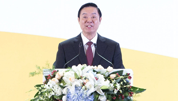 CPC publicity chief stresses more exchanges in building Belt and Road