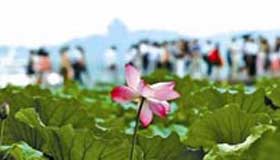 Golden Week sets off enthusiasm of domestic travelers