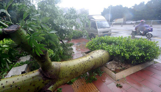 Typhoon Megi makes landfall in east China
