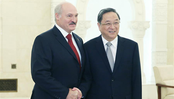 Top political advisor meets Belarusian president in Beijing