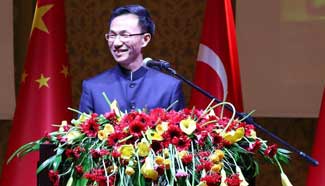 Turkey, China should further develop relations: officials