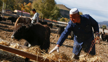Targeted measures in poverty alleviation launched in China's Qinghai