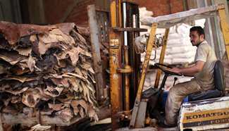 Pic story: tanneries in Old Cairo to be moved to outskirts for touristic purpose