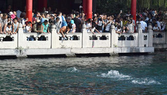 Sprouting Spring resort attracts visitors during National Day holiday