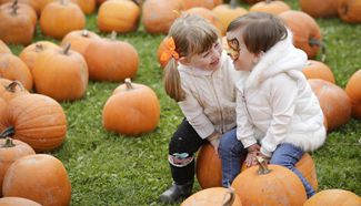 Old-fashioned community harvest festival "PumpkinFest" held in Vancouver