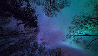 Aurora Borealis illuminate night sky in Alaska