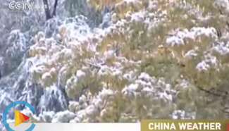 Drop in temperature felt in N. and NE. China