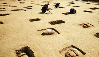 113 ancient tombs discovered in Hebei
