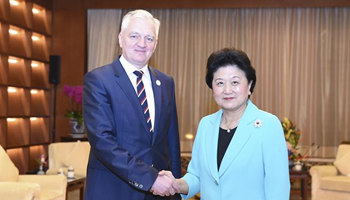 Chinese vice premier meets with Polish deputy PM