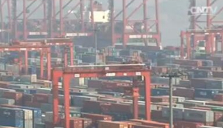 Q3 trade growth shows signs of rebounds