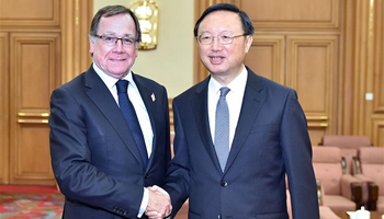 China, New Zealand vow to further promote cooperation