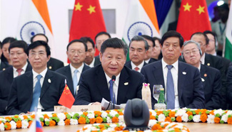 President Xi: Cement confidence, make joint efforts for development