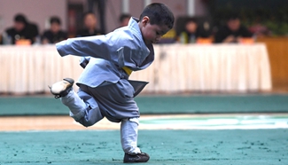3-year-old Kung Fu kid rises again after tumble to finish contest