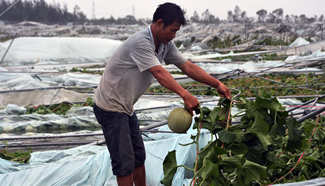 Typhoon Sarika makes landfall again in south China