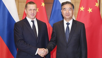 Officials pledge closer cooperation between China's northeast, Russia's Far East