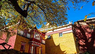 In pics: Ding Guo Shan monastery in SW China
