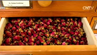 25th anniversary of World Traditional Medicine Day