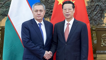 Chinese vice premier eyes more infrastructure cooperation with Uzbekistan