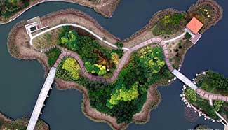 Aerial photos of Lingang wetland park in N China