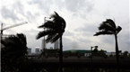 280,000 evacuated in China's Shenzhen city