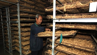 Online sale enlarges E China's ginseng market home and abroad