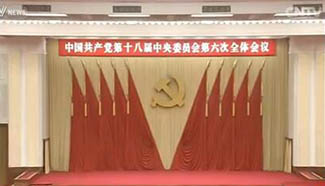 CPC to hold 19th National Congress in 2nd half of 2017