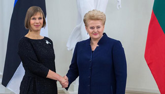 Cooperation makes Lithuania, Estonia visible on int'l stage: Lithuanian president