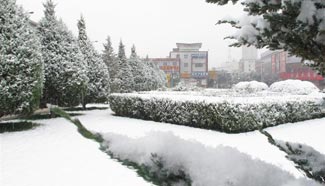 Cold front brings snowfall to NW China's Gansu