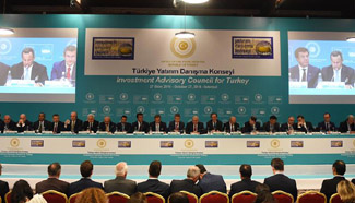 Turkey to boost foreign investment with new incentives