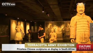 Priceless Chinese sculptures on display in South Africa