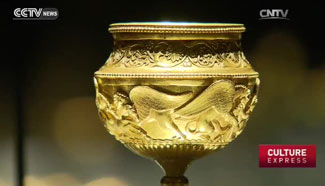 Private museum opens in Shanghai