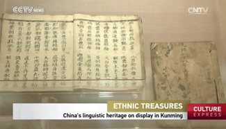 China's linguistic heritage on display in Kunming