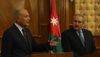 Jordan's FM: next Arab Summit to be held in Jordan