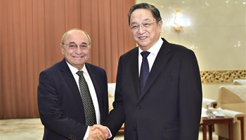 China, Armenia can cooperate on Belt and Road Initiative: top political advisor