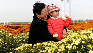 Tourists view chrysanthemum flowers at park, N China