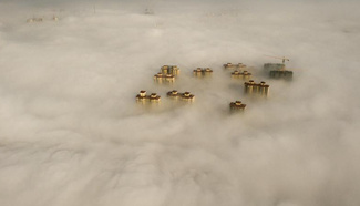 In pics: advection fog scene in Xingtai, north China