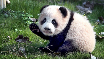 Xinhua weekly photos