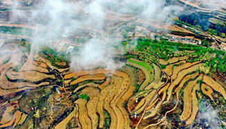 Amazing view of terrace in N China