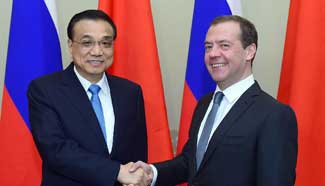 Chinese premier meets Russian prime minister