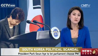 President Park Geun-hye to let parliament choose PM