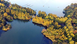 In pics: aerial view of Hangzhou autumn scenery