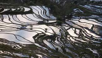 Amazing Hani rice terraces in China's Yunnan