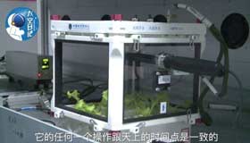 Astronauts grow space lettuce for the first time