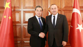 Chinese FM meets Turkish counterpart in Ankara