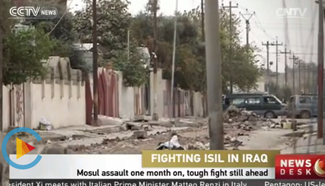 Mosul assault one month on, tough fight still ahead